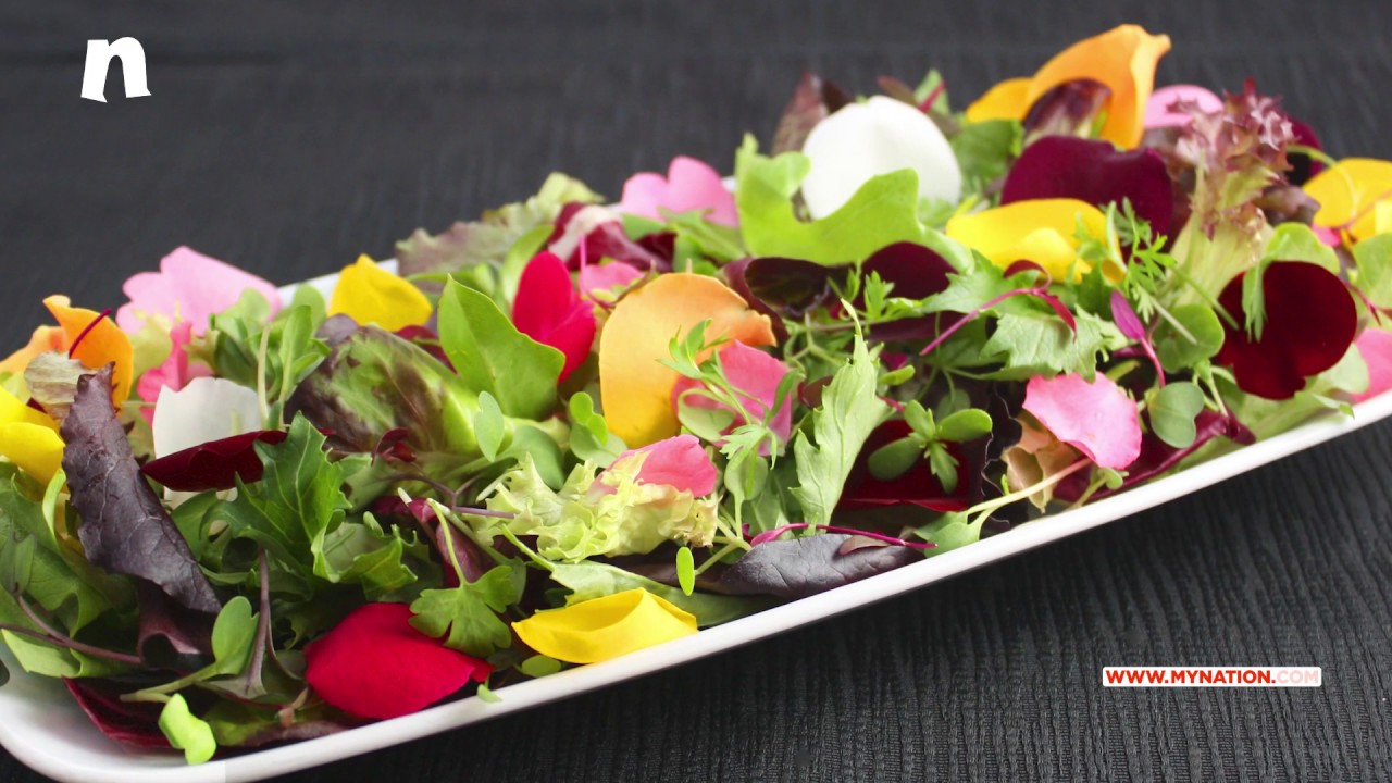 Here Are The Top Five Edible Flowers With Health Benefits YouTube