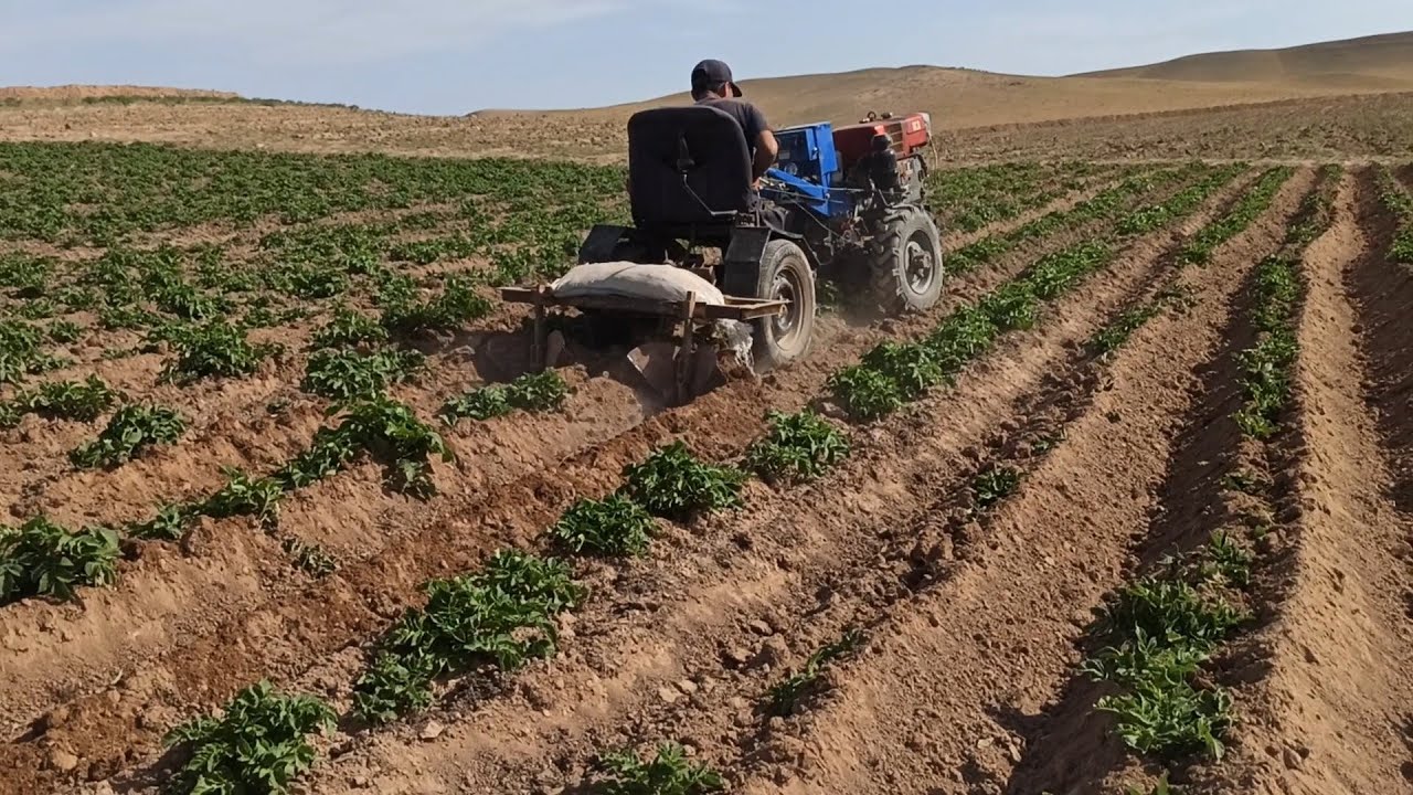 ЗУБР 1100 АКУШКА 22.04.05 - YouTube