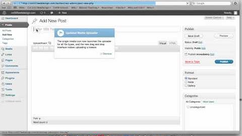 WordPress 3.3 - What