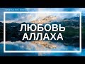 Насколько Аллах любит меня? | Нуман Али Хан (rus sub)