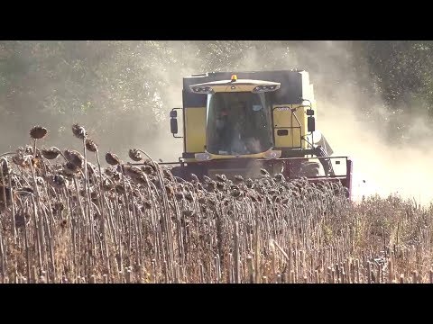 Ильнур Ибатуллин и в республике передовой