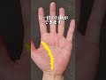【手相占い】たった0.2%の人しかいない激レア手相