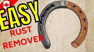 Can you use apple cider vinegar to get rid of rust?