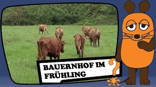 Bauernhof-Frühling