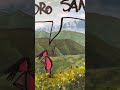 Día en el campo – graffiti video, Francisco de Pájaro, arte urbano
