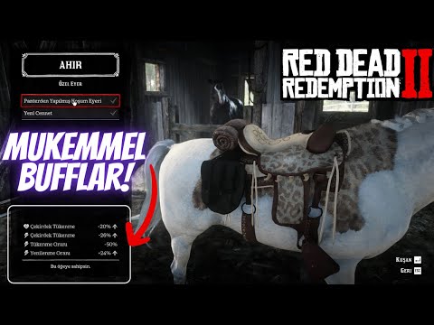 Bir Panter Atınızı DAHA GÜZEL ve DAHA GÜÇLÜ yapabilir. - Red Dead Redeption 2