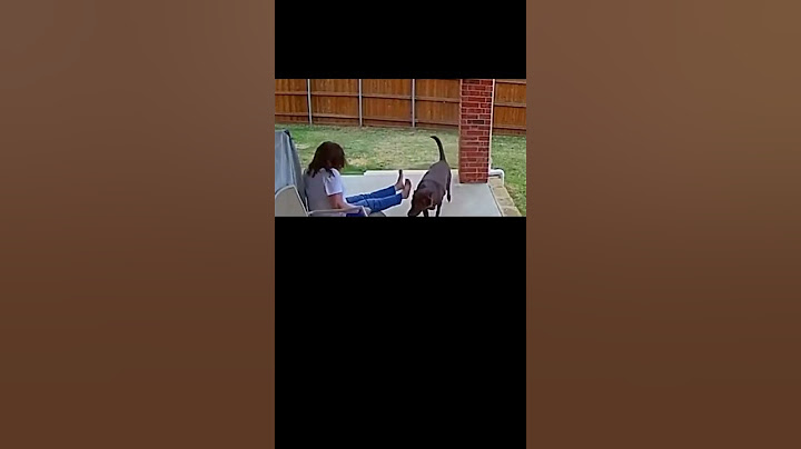 Кто испугался больше? Ржака до слез )))Who was more scared? Rzhaka to tears)))