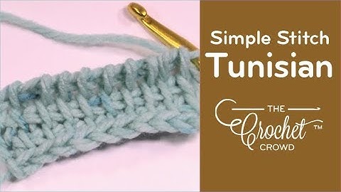 Beginners How to Tunisian Simple Stitch