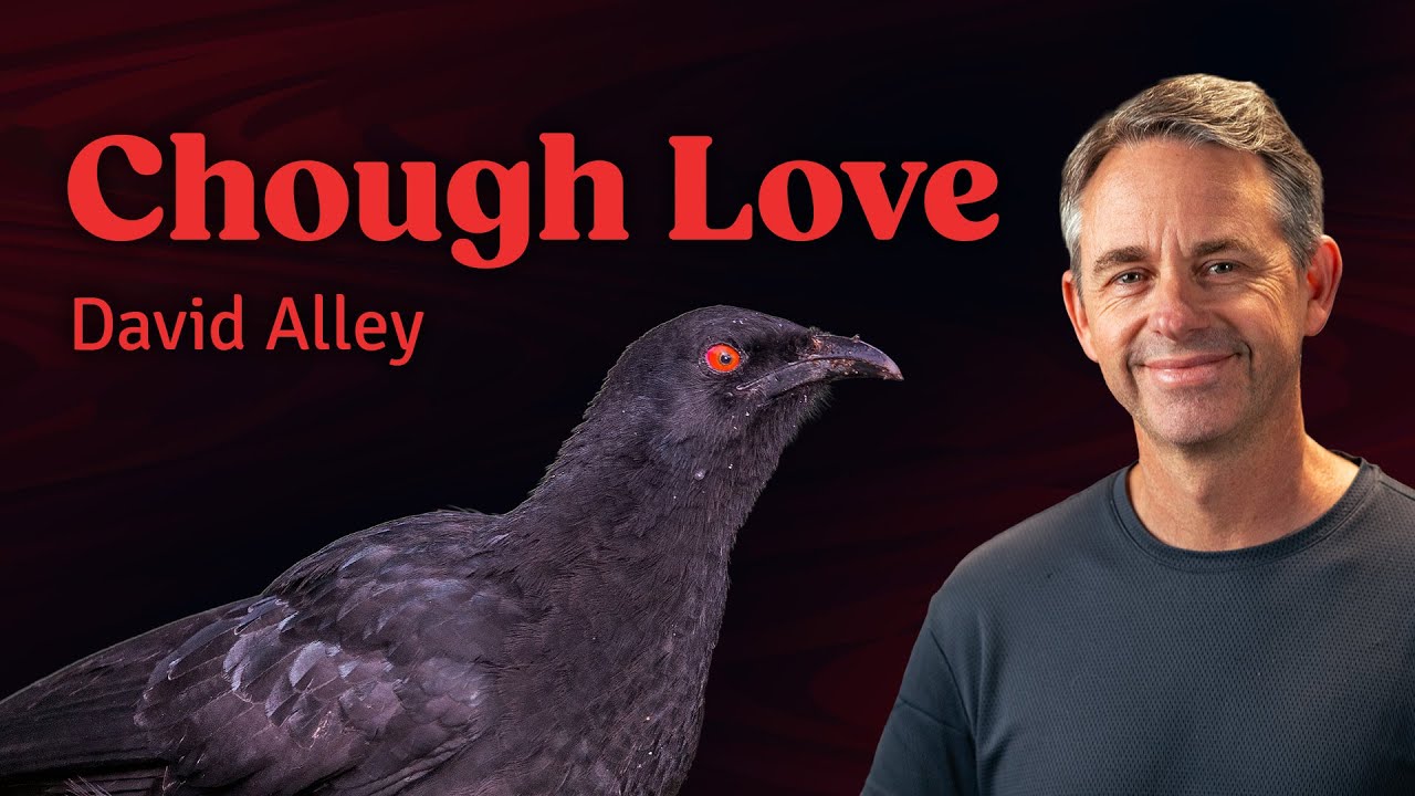 Called to be a Church | David Alley