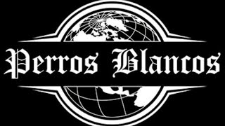 Reckol-İstediğim Olucakkonser Gibi