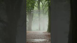 Peace begins where the forest rain falls. #viral #shortvideos #rain #asmr #love #calm #reels #shorts