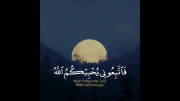 تلاوة هادئة تريح الاعصاب🥺🎧 بصوت القارئ | إسلام صبحي        سورة لقمان