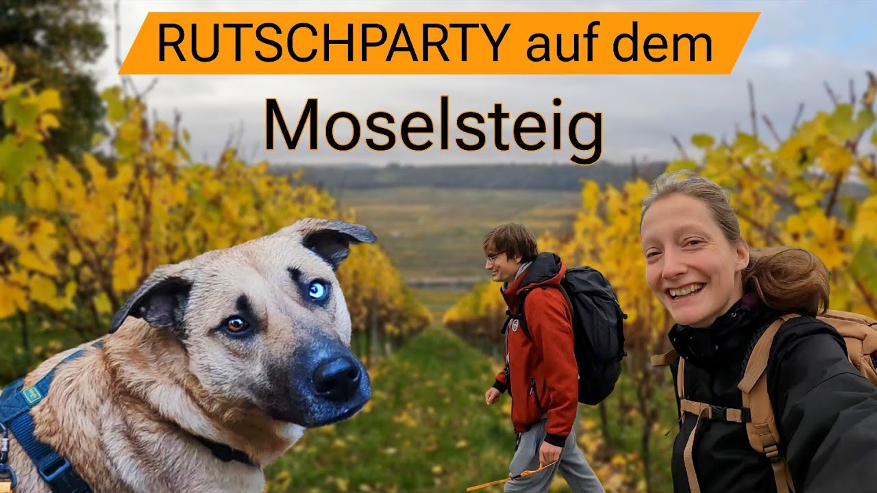 Moselsteig Etappe 2: K.O., schlammige Wege & Wein aus dem Automaten 🍷 | Palzem–Nittel 18km