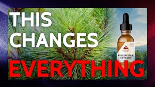 The Amazing Healing Power of Pine Needles, REDISCOVERED | Lance Schuttler of Ascent Nutrition