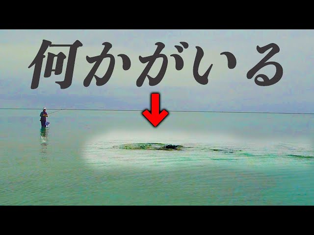 【大興奮】目の前で巨大魚が捕食！離島の美しすぎる海にルアーを投げると・・！？【GT狙いの久米島遠征2024 #3】