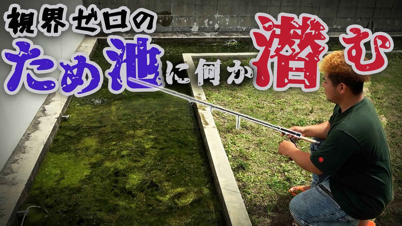 人ん家の池の水抜いたらトラブル発生！！【生物マニアの自宅改造＃2】