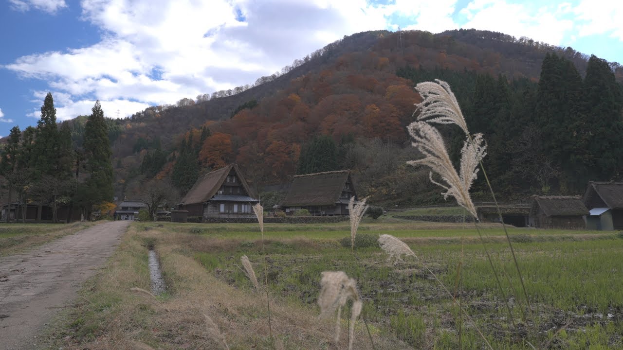 Gokayama Suganuma Autumn Walk｜UNESCO Village in Peak Fall Colors