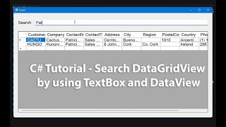 C# -  Search DataGridView by using TextBox and DataView