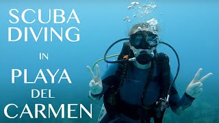 SCUBA DIVING in Playa del Carmen, MEXICO!
