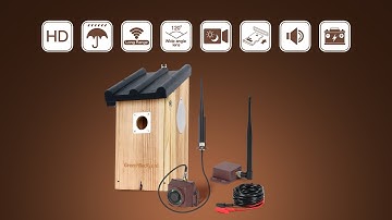 How to setup Long Range Wireless bird box camera
