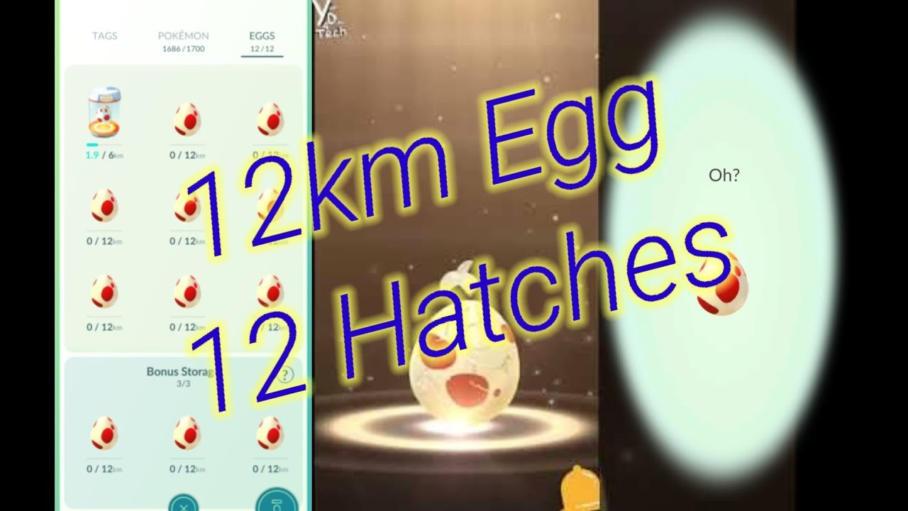 Shadow EGG Hatch UNLIMITED 🤯Pokémon GO