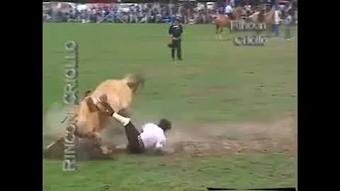 Excelente camperiada de los apadrinadores