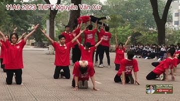 #flashmob | 11A6 2023 | thpt nguyễn văn cừ hà nội | MC Nguyễn Thanh Bình