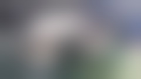 Spanish Customer Automatic Garlic Peeling Machine and Garlic Cloves Sorting Grading Machine