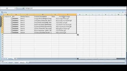 WP e-Commerce CSV Importer - Create CSV file