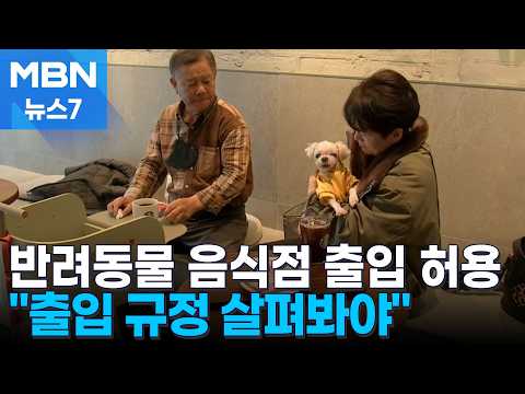 반려동물도 카페·식당 입장 허용…"출입 규정 잘 숙지해야" [MBN 뉴스7]