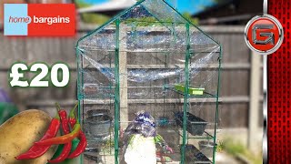 HOME BARGAINS 6FT Walkin Greenhouse Review | Growing Vegetables During Lock Down
