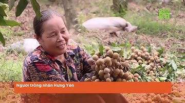 Chuối, nhãn rẻ chưa từng có: EVFTA đến "giải cứu"? | VTC16