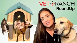 BEST. JOB. EVER. on Vet Ranch RoundUp! by Vet Ranch RoundUp 28,311 views 2 years ago 15 minutes