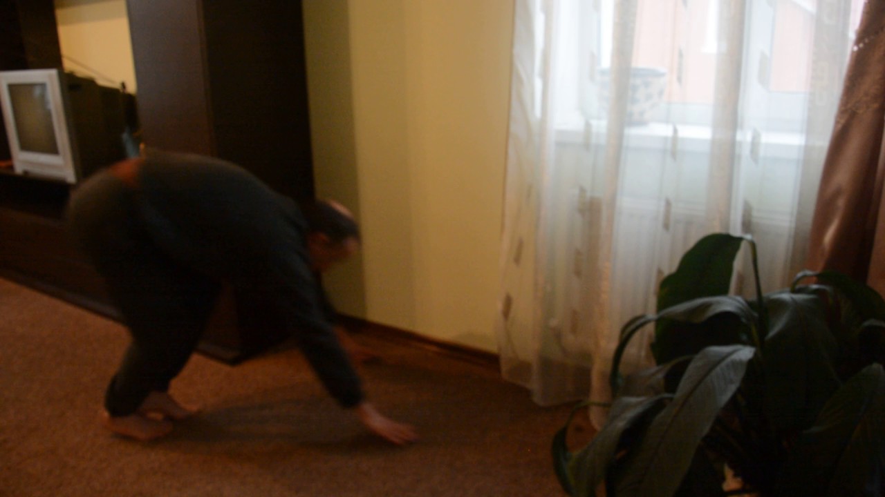 MC Petrov "22 Pushup challenge" day 20