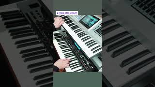 Roland fantom g6-set 2026.