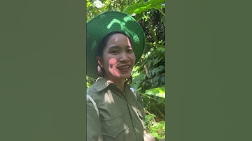 Thành quả một ngày đi rừng #trieuthimay #cuộcsốngmiềnnúi #cuộcsốnghàngngày