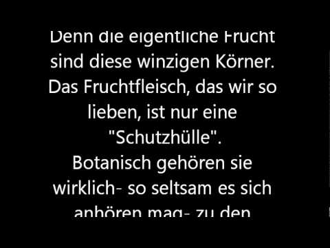 Video: Erdbeere ist eine Nuss oder eine Beere?