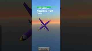 speedbird crash