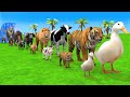 Long Slide Game With Cow Elephant Gorilla Hippopotamus Tiger - 3d Animal Game - Funny 3d Animals