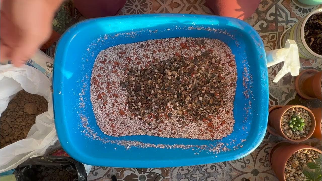 Грунт для суккулентов по рецепту Мастера Георгия - YouTube