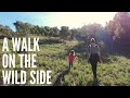 A walk on the wild side of our land