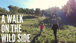 A walk on the wild side of our land