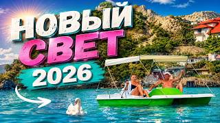 Новый Свет сегодня: Полный расклад по ситуации!