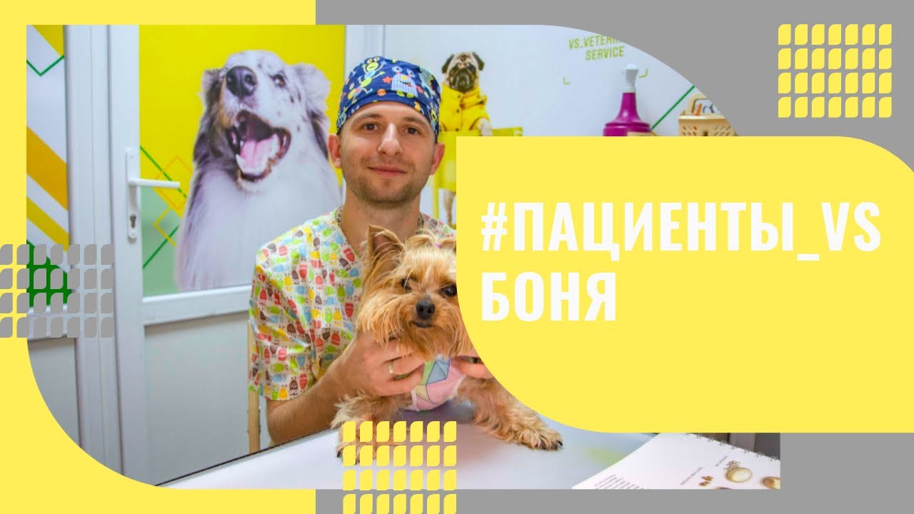 Хирург извлек из мочевого пузыря три больших камня