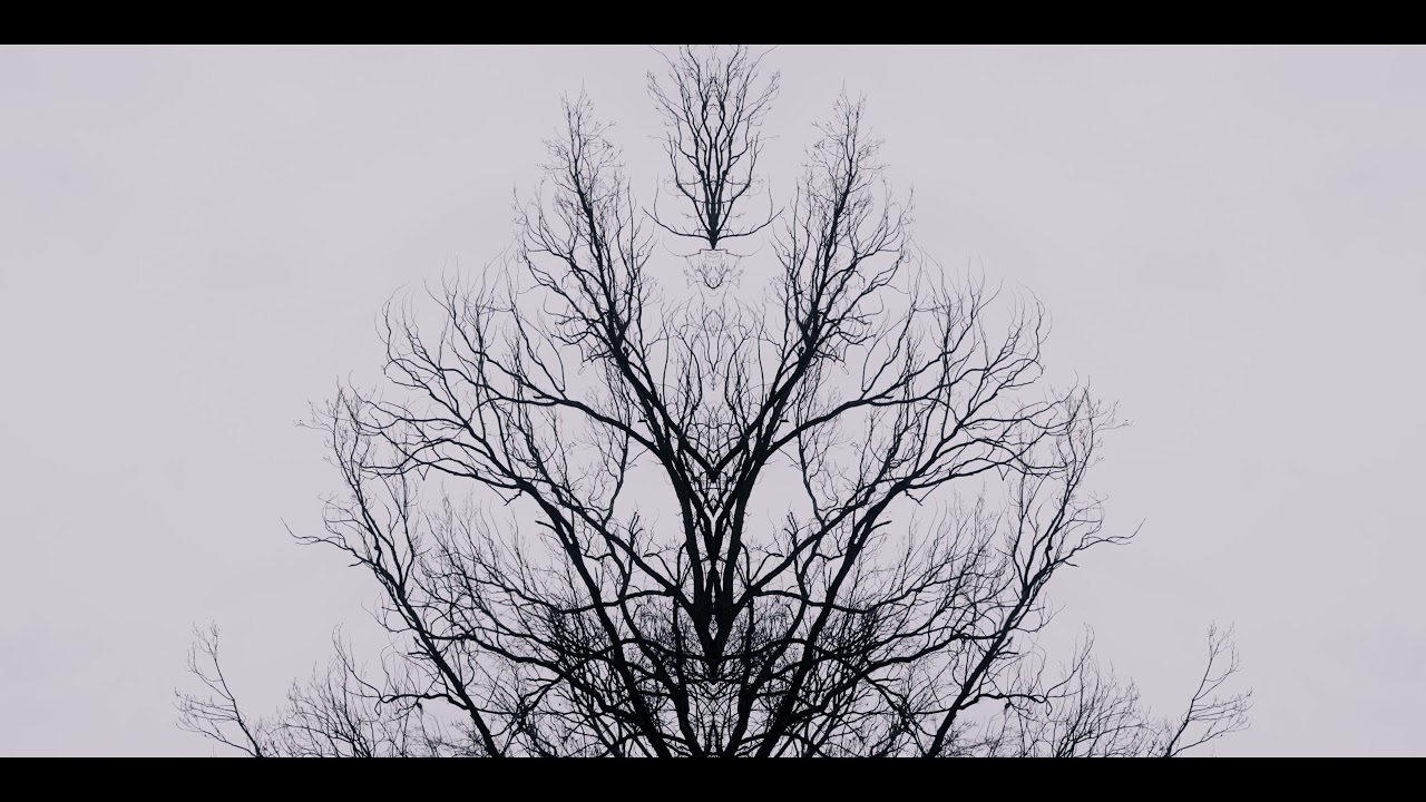 Lee Olivier-Hall - A Stolen Moment