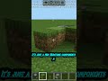 I Built a WORKING Flamethrower in Minecraft Bedrock! 🔥#shorts