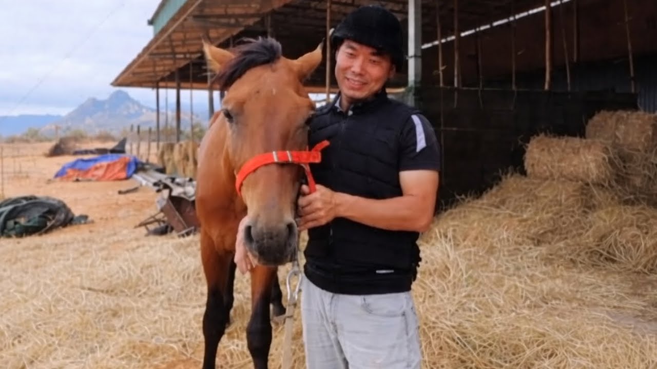 HÔM NAY THÉP MUA BỘ ÁO GIÁP CƯỠI NGỰA ĐỂ ĐẢM BẢO AN TOÀN | CUỘC SỐNG NÔNG DÂN 