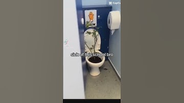 I am the Lorax I speak for the trees