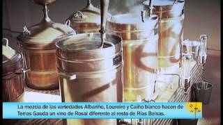 El Pañol del Monte Real X