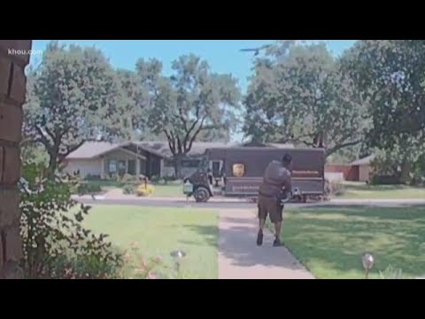 Caught on camera: Angry birds attack people in Dallas neighborhood